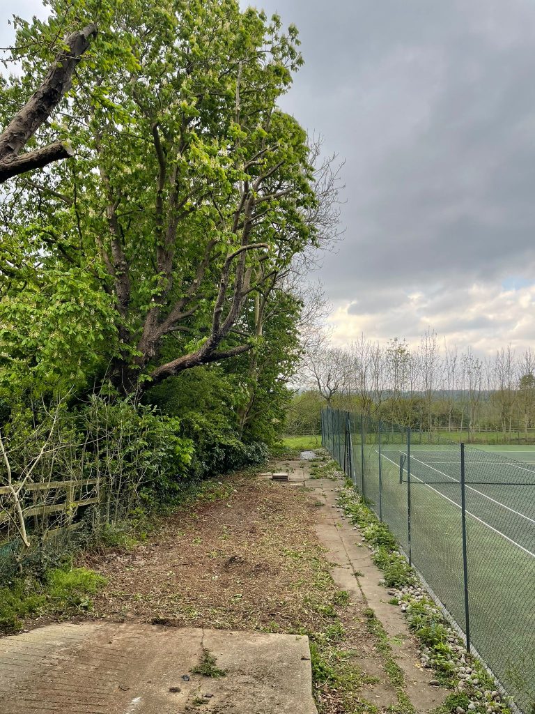 London Tree Surgeon Project
